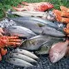 купим рыбную продукцию от производителя. в Брянске